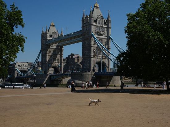 UK firefighters out in force to tackle fires on hottest day of the year