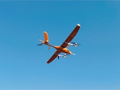 From the grove to the sky: Chinese team develops drone made of bamboo-based composites