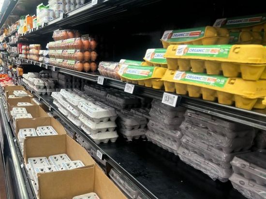 US regulators upgrade recall of 19 mln eggs to highest risk level