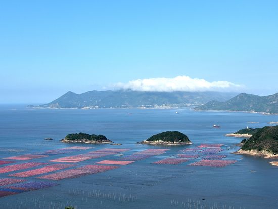 China, Solomon Islands advance seaweed blue carbon cooperation