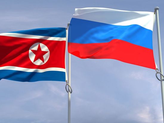 Top DPRK leader proud of better future for ties with Russia: report