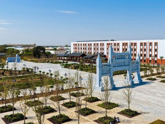 Chinese university opens branch campus in Uzbekistan