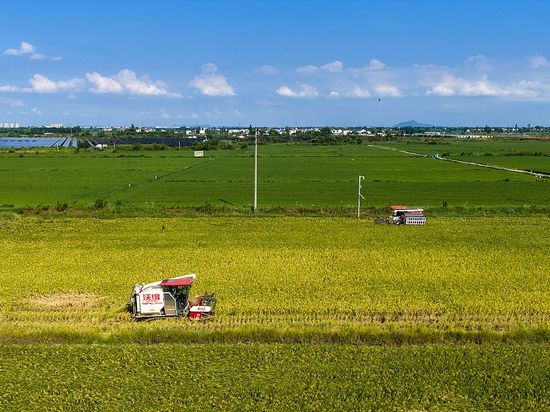 Chinese vice premier stresses disaster control efforts to ensure bumper harvest