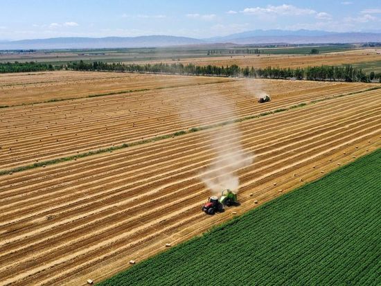 China vows to share innovation gains to bolster Asia-Pacific food security