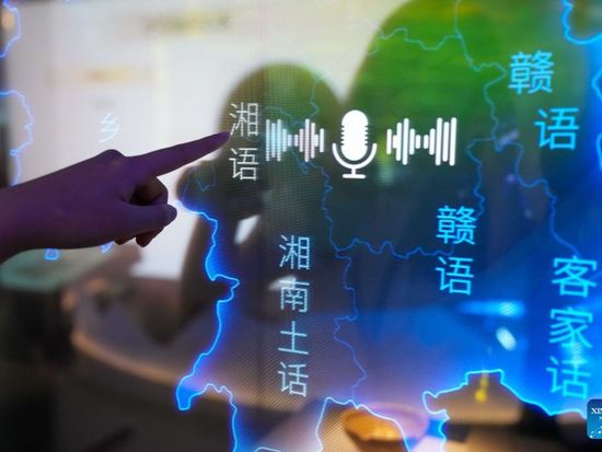 China opens exhibition to preserve, bring linguistic diversity to life