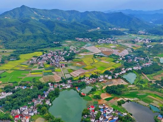 China mulls law revision to boost agricultural, rural development