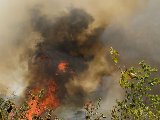 Wildfires intensify in Colombia amid El Nino conditions