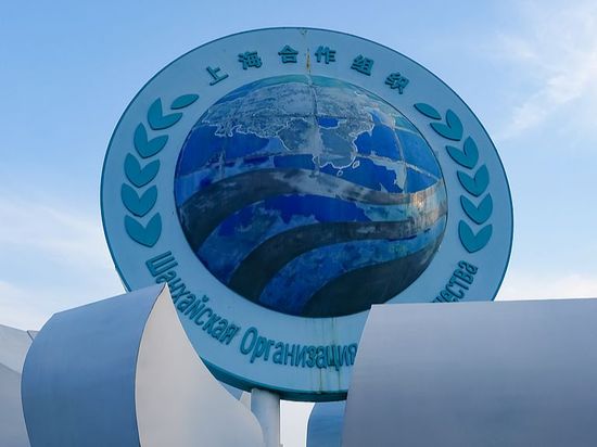 Xi to attend SCO summit, pay state visits to Kyrgyzstan, Egypt