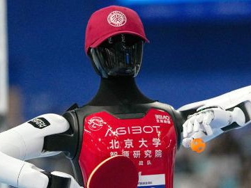 In pics: 2nd World Humanoid Robot Games