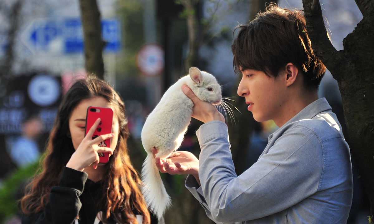 People take photos with animals at Tongji University in Shanghai on March 31, 2019. Photo: VCG
