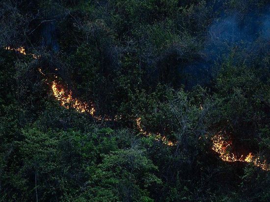 Colombia's farmers watch crops burn in El Nino-fueled wildfires