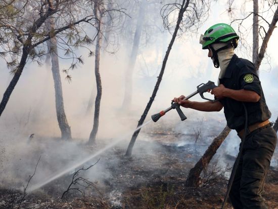 12 killed in Algeria wildfires