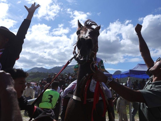 Traditional horse race held in Indonesia