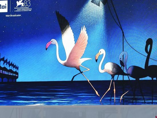 Lights, camera, action for the 83rd Venice Film Festival