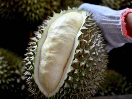 Vietnam's durian export value estimated at 1.95 bln USD in Jan.-Aug.