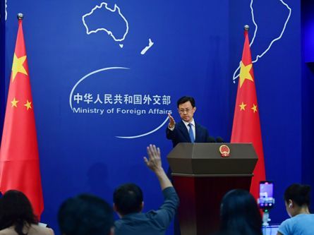 Ministry Minutes | China willing to work toward regional peace with South Pacific countries: foreign