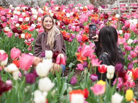 New Zealand funds campaigns to attract more int'l visitors
