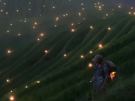 Rice terraces of tradition