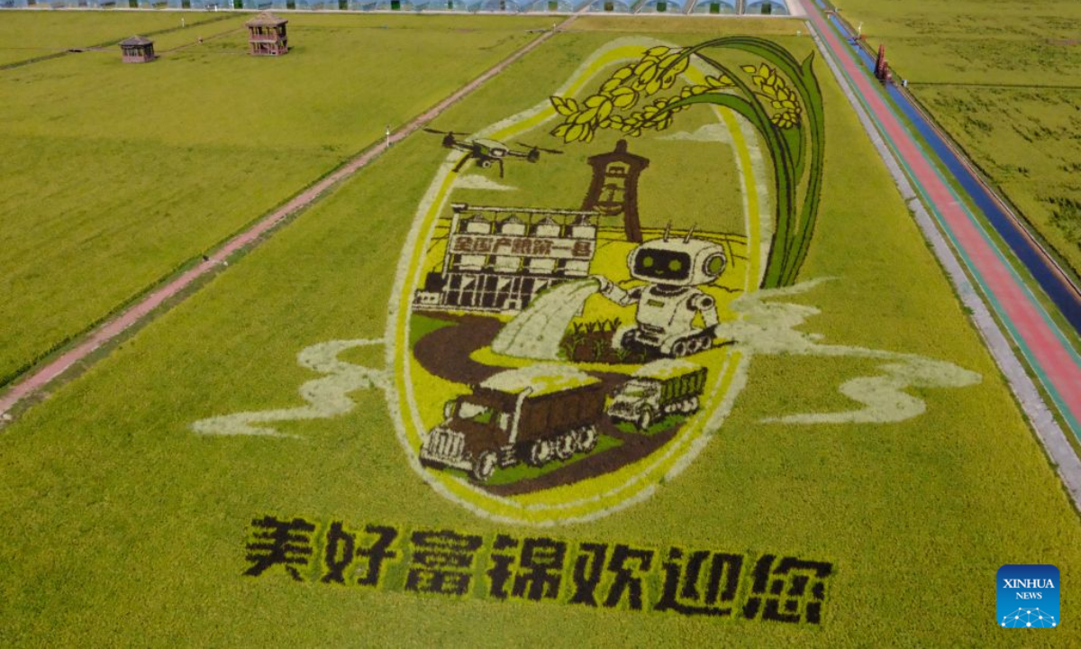 This photo taken on Sept. 5, 2026 shows a rice paddy art piece at a rice park in Fujin City, northeast China's Heilongjiang Province. (Xinhua/Ji Hang)