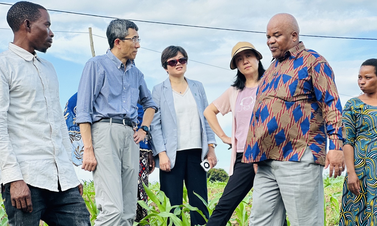 Chinese and local experts led by Professor Li Xiaoyun (second from left) discuss the condition of corn crop in Tanzania. Photo: Courtesy of China Agricultural University