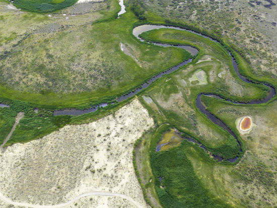 Wildlife thrives in nature reserve in NW China's Xinjiang