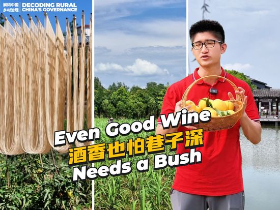 Even good wine needs a bush: the Dongyue story