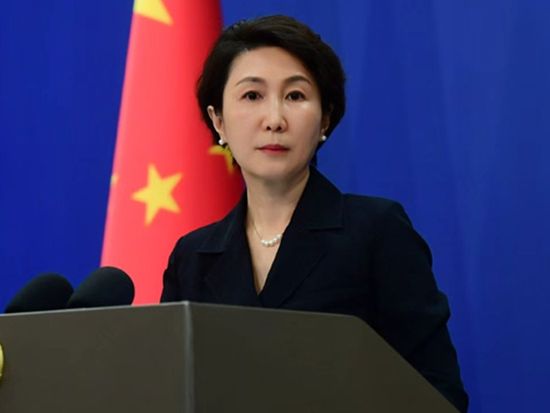 China never pulls away the ladder for others' development, instead it committed to putting up ladders: FM