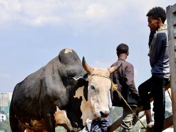 Ethiopians prepare for upcoming New Year celebrations