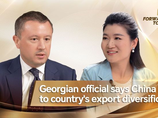 Georgian official says China key to country's export diversification