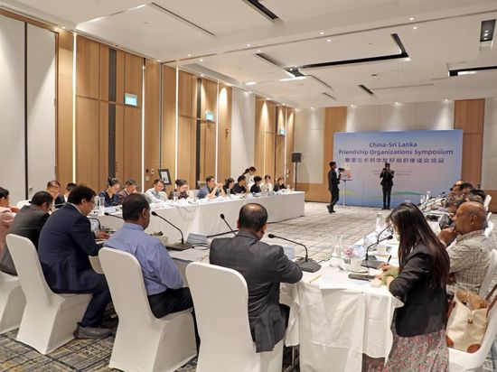 China-Sri Lanka friendship symposium highlights potential for deeper cooperation