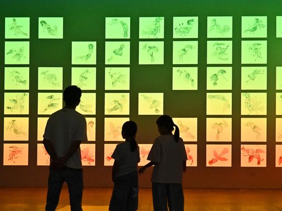 12th Euro-Asian Mediations Digital Art Biennale opens in Guangzhou