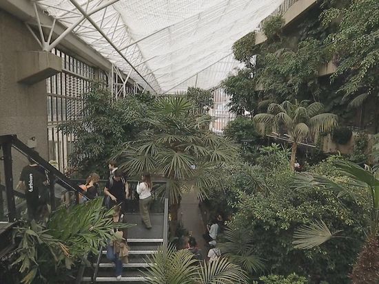 'Plant parents' cut a piece of London's historic Barbican urban jungle
