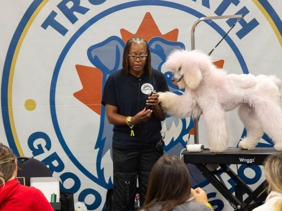 2026 Fall Canadian Pet Expo held in Mississauga, Canada