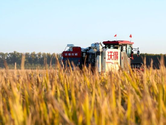 Xi extends greetings ahead of farmers' harvest festival