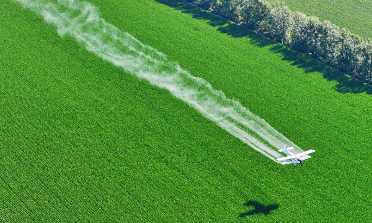 An aerial drone photo taken on July 29, 2026 shows an agricultural plane carrying out aerial crop protection operations over a corn field of Beidahuang Group in northeast China's Heilongjiang Province. (Photo by Ren Baoji/Xinhua)