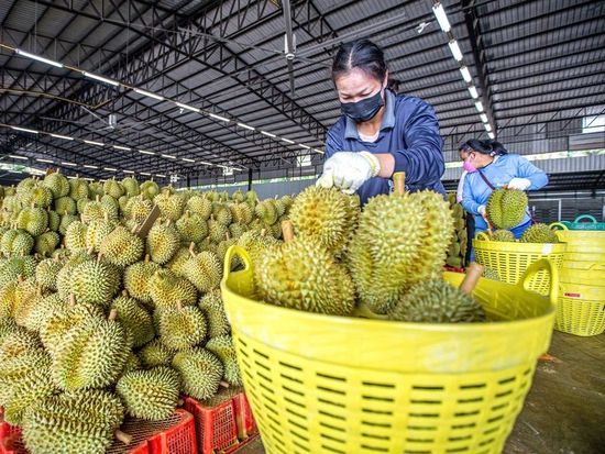 Thailand's exports jump 24.3 pct in August