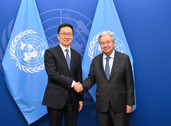 China's modernization achievements to offer fresh opportunities for world development: VP