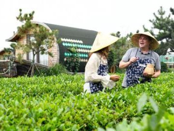 American vlogger experiences vibrant life in E China