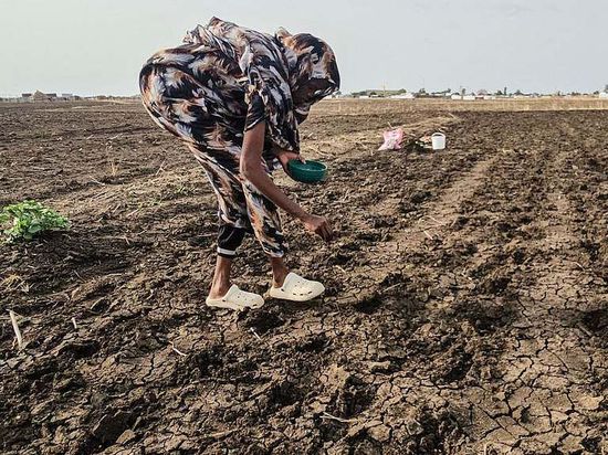 UN official urges more funding as El Nino threat looms over Horn of Africa