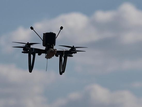 Japan to trial purchase Ukrainian-made drones, former defense minister says