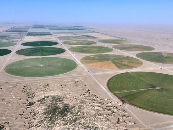 'Perfect circle' farms in NW China welcomes Beidou-powered seed drills