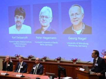 Explainer: Why 2026 Nobel Prize in Physiology or Medicine awards optogenetics
