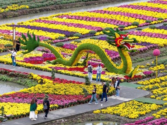 China's visa-free opening turns travel into economic momentum