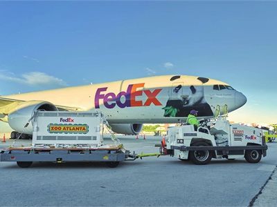 Two pandas arrive in Atlanta, carrying decades of shared care and friendship that keep crossing borders