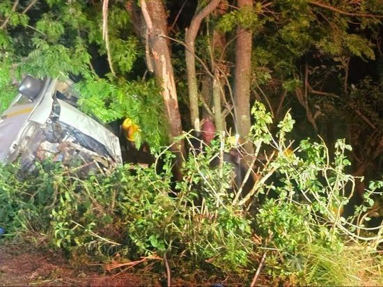 At least 10 killed in minibus taxi crash in South Africa's KwaZulu-Natal