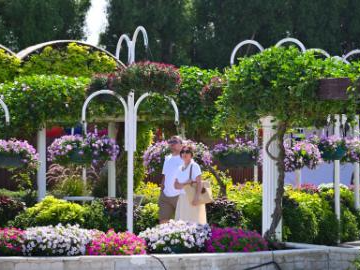 Dubai Miracle Garden opens for 15th season, featuring floral installations
