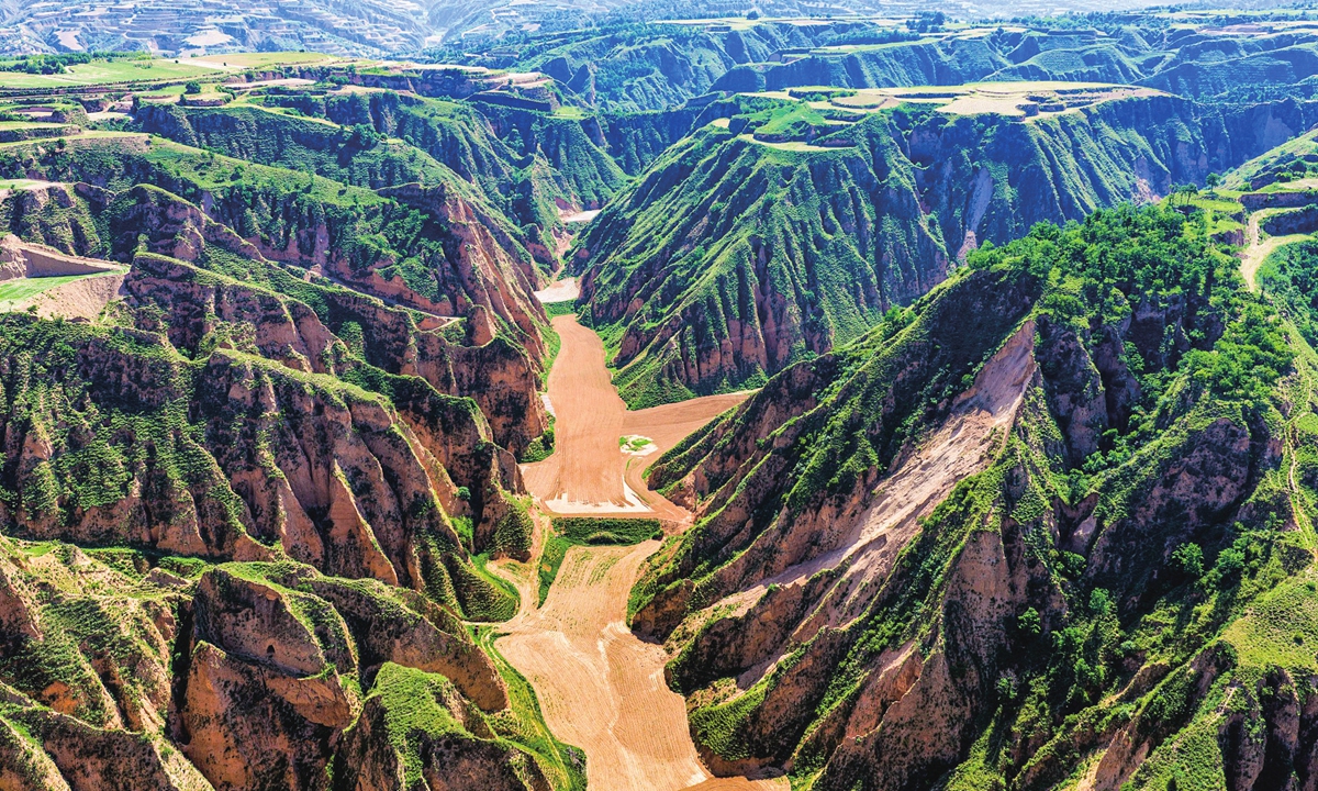 Fresh greenery blankets the loess hills and gullies in Shilou county, North China's Shanxi Province, on June 17, 2026.