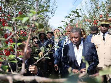 Togo's president of Council of Ministers visits China's Shaanxi