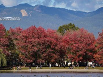 Autumn view in Vancouver