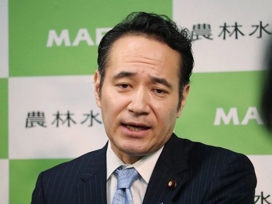 Japanese farm minister resigns over controversies: media